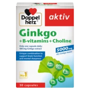 Doppelherz aktiv Ginkgo front view