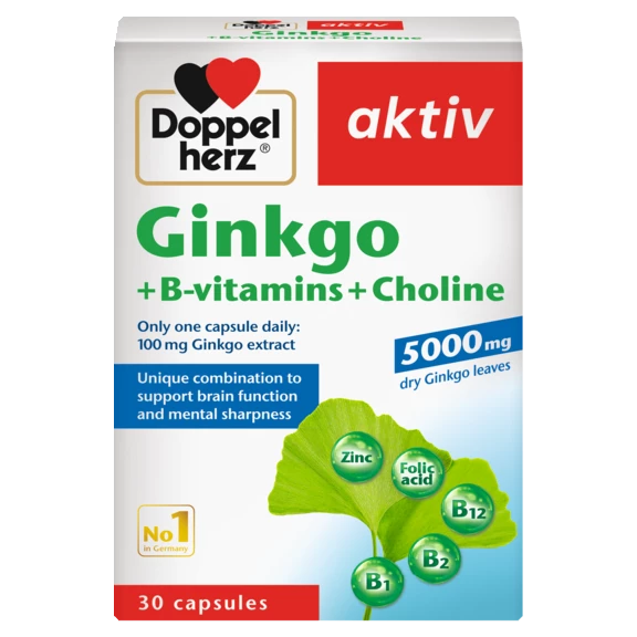 Doppelherz aktiv Ginkgo front view