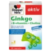 Doppelherz aktiv Ginkgo front view