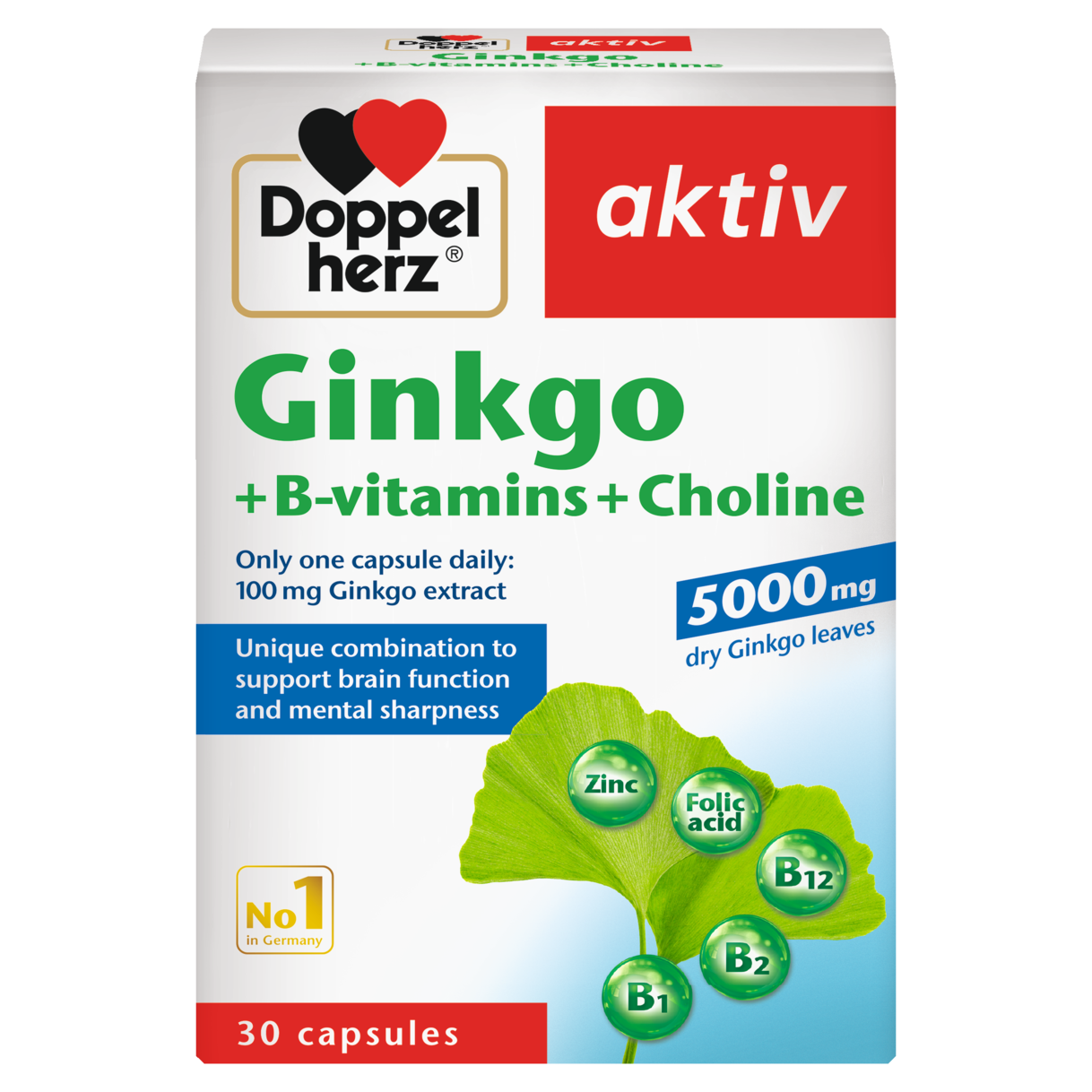 Ginkgo