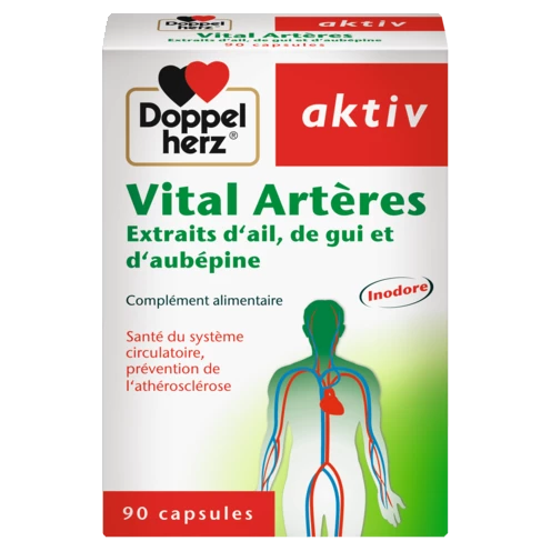 Vital Artères front view