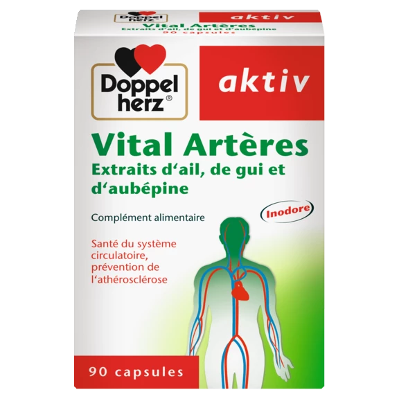 Vital Artères front view