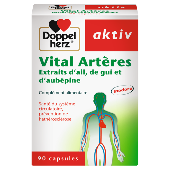 Vital Artères