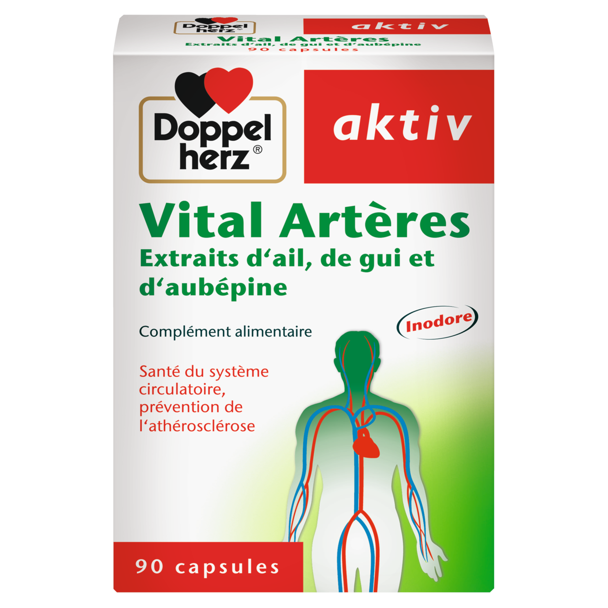 Vital Artères